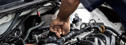 אוטוטק עד 3500 ק"ג מנהל מקצועי